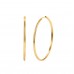 Hoops  Earring Gold Color-4cm Diameter